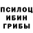 Псилоцибиновые грибы Psilocybe Ellie Simone