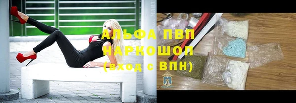 дмт Бородино