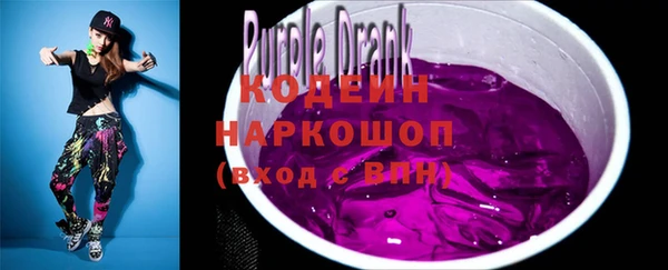 дмт Бородино