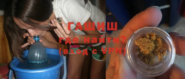 дмт Бородино