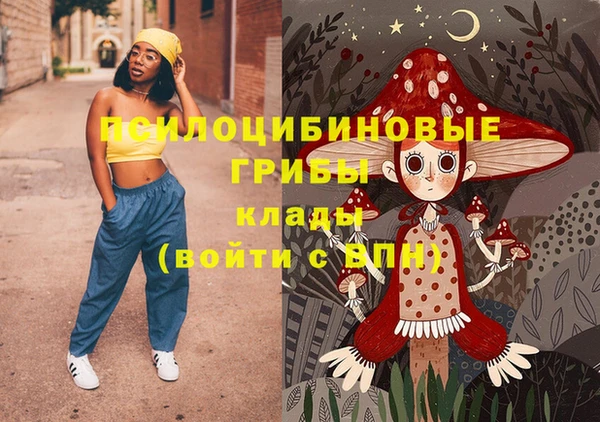 дмт Бородино