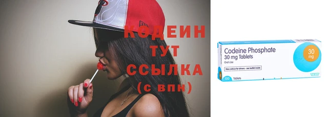 дмт Бородино