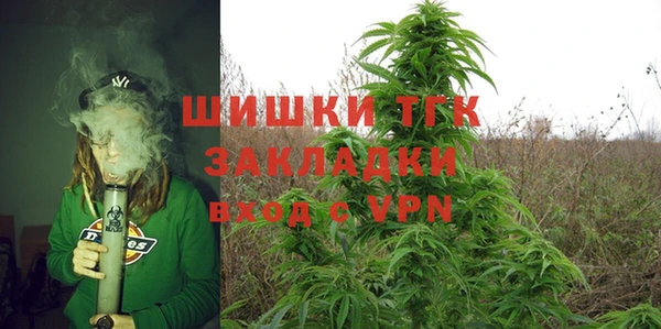 дмт Бородино