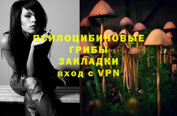 дмт Бородино