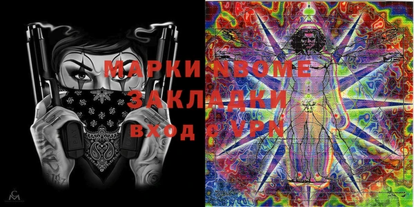 дмт Бородино